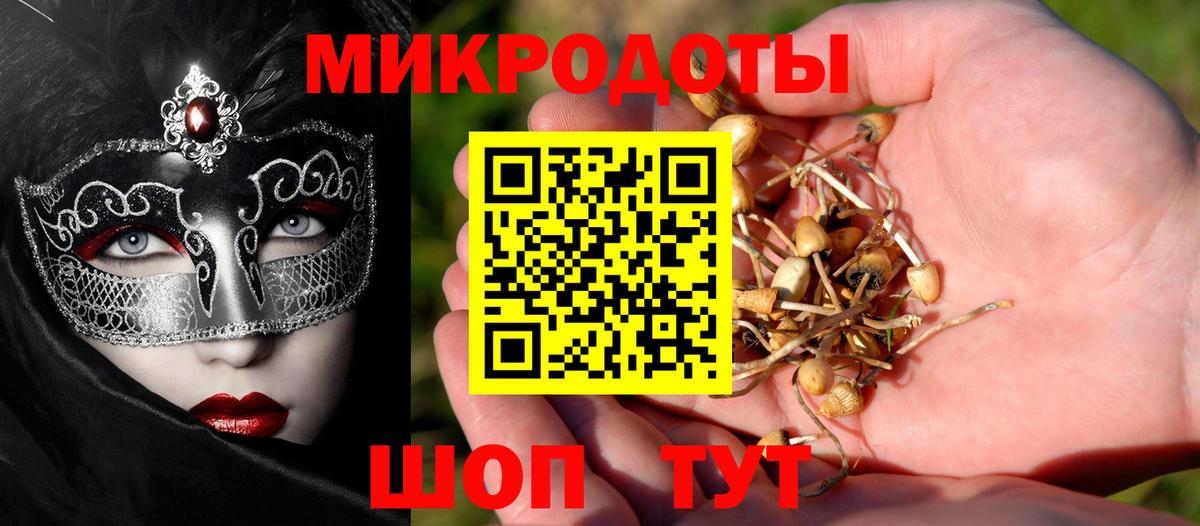 Рузаевка  сколько стоит  Псилоцибиновые грибы ЛСД  Вход с VPN  Псилоцибиновые грибы GOLDEN TEACHER 